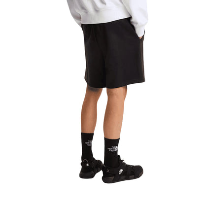 Shorts THE NORTH FACE M BOX NSE LIGHT REGULAR