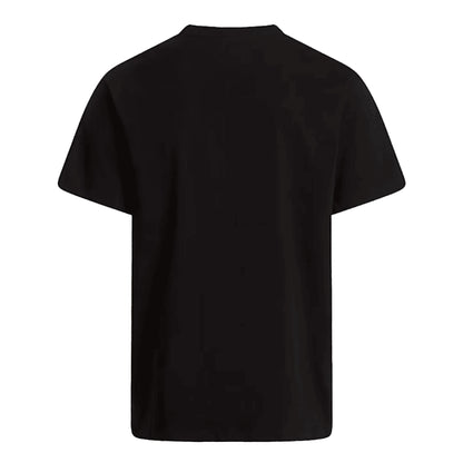 THE NORTH FACE T-shirt Evolution Simple Dome Regular Uomo