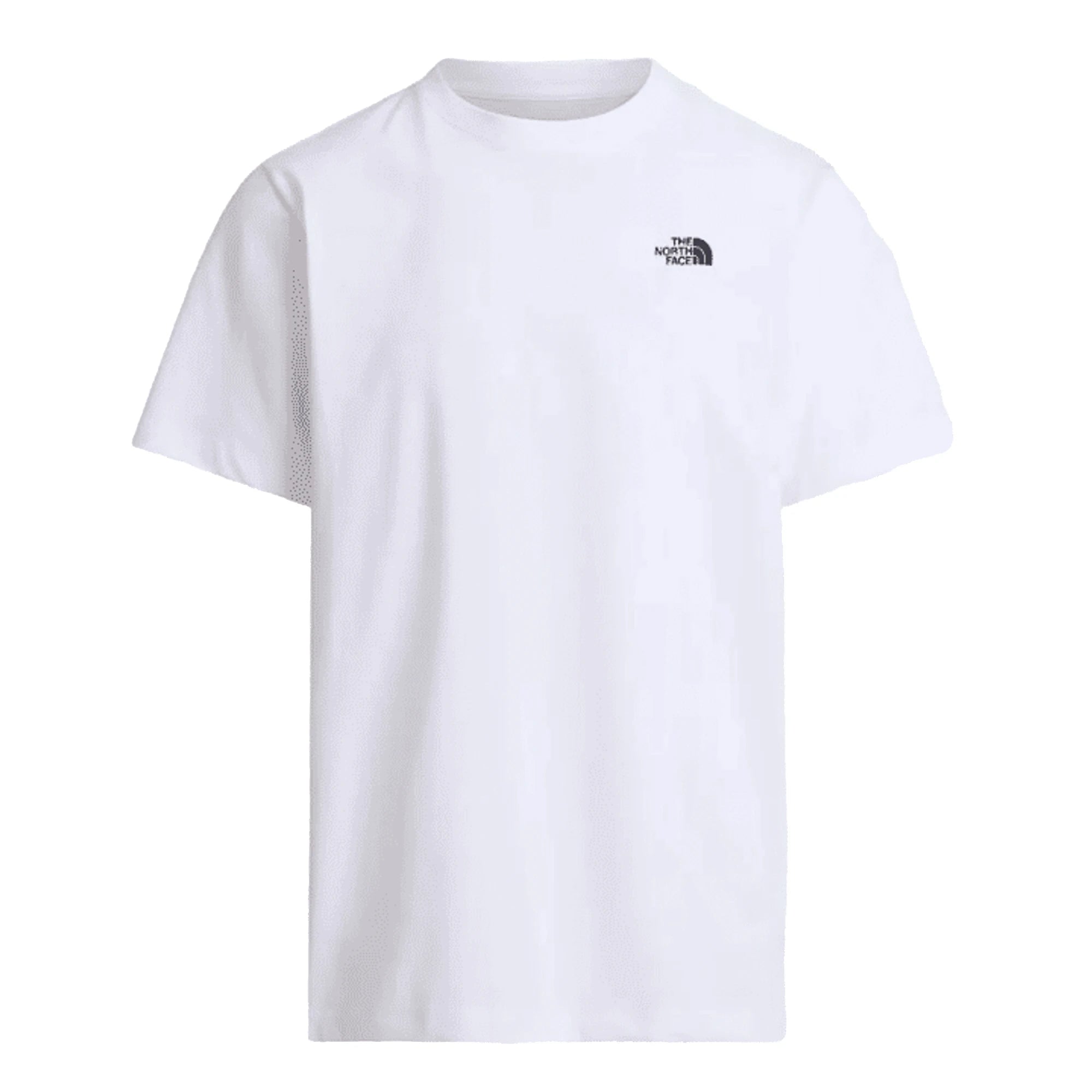 THE NORTH FACE T-shirt Evolution Simple Dome Uomo