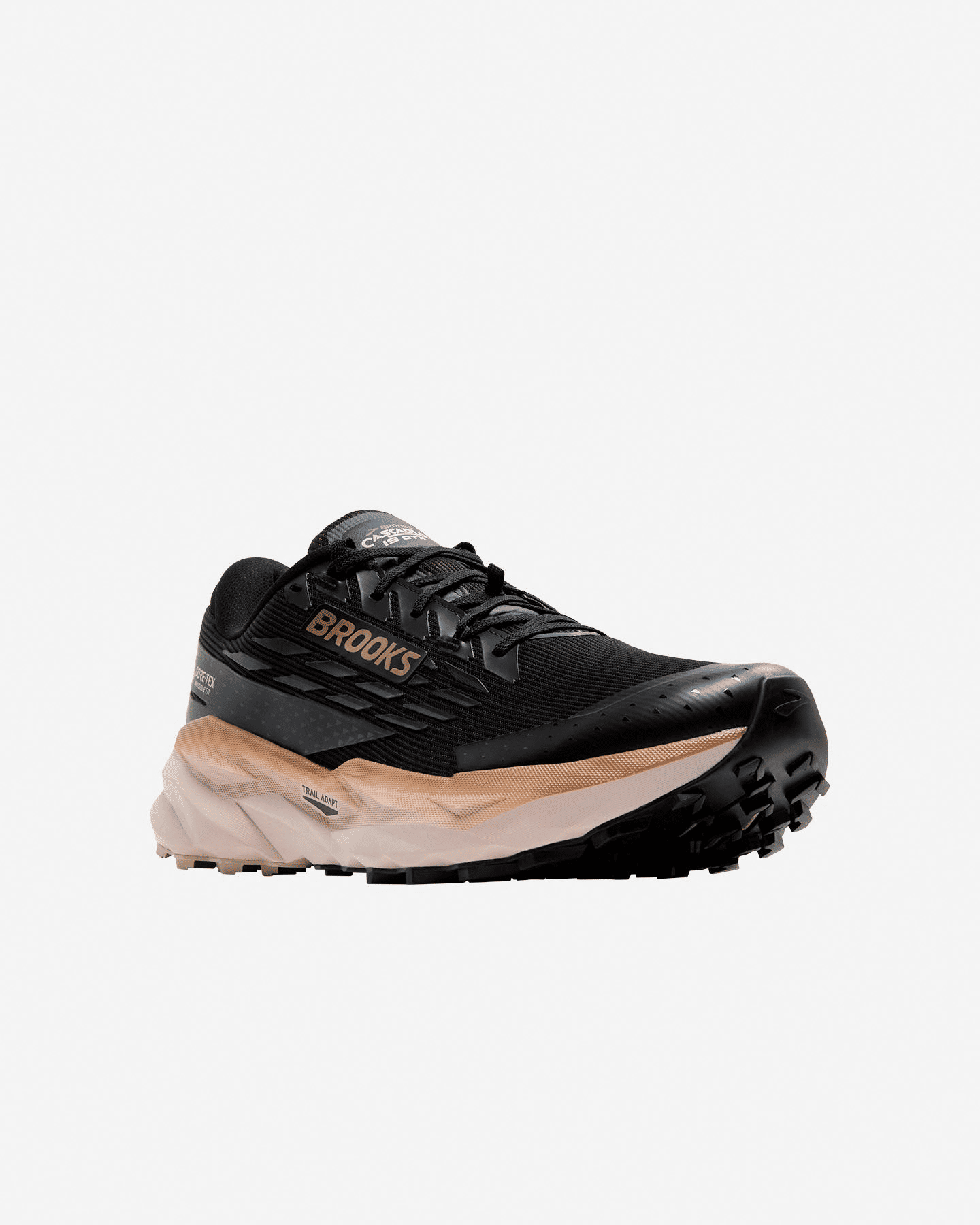 Brooks Scarpe Trail Cascadia 19 GTX Uomo