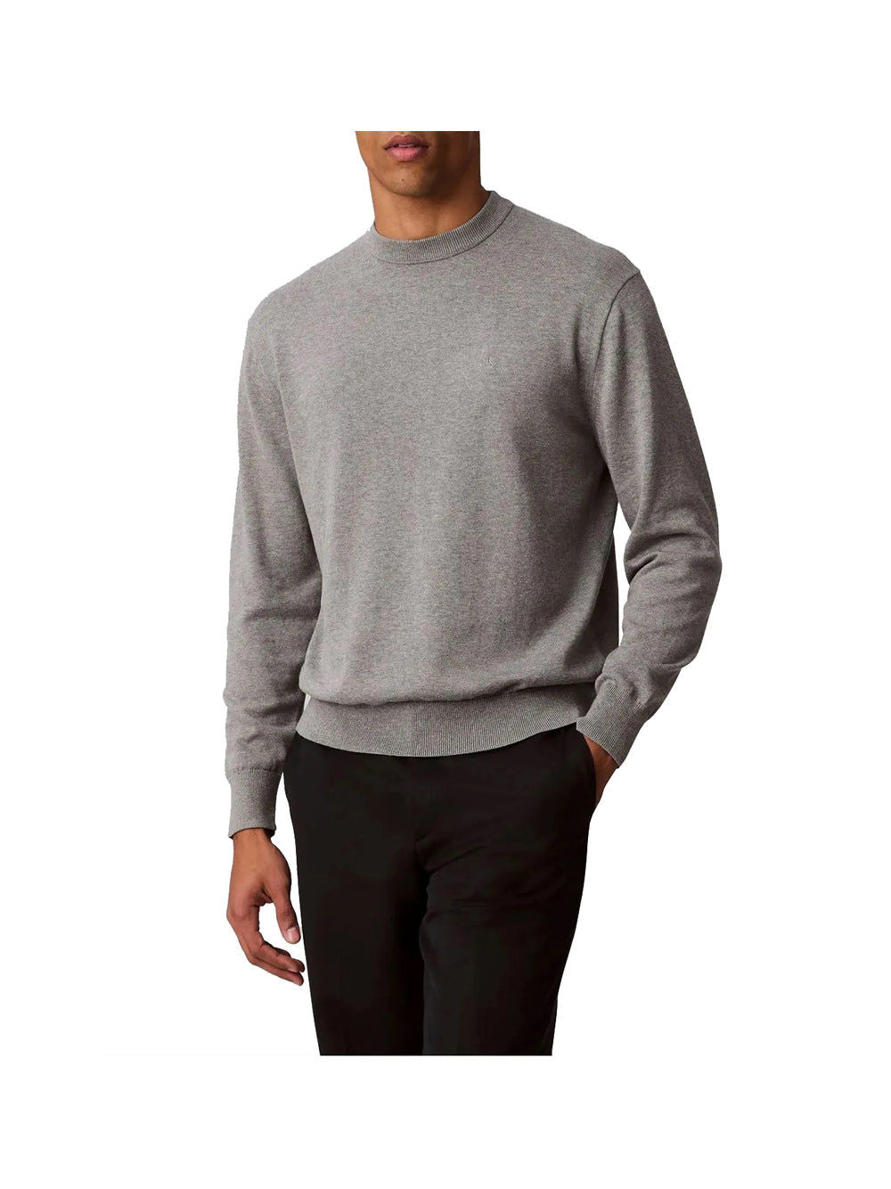 Felpa Eu Ls Cotton Relaxed Uomo- Grigio